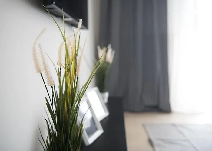 Markopoulosapartments * Nea Moudania